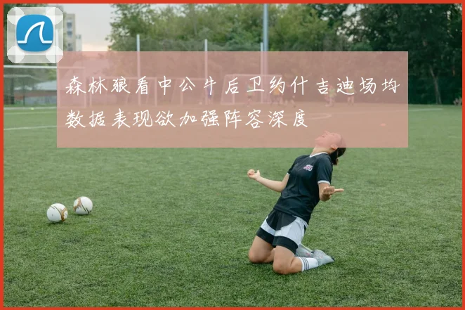 森林狼看中公牛后卫约什吉迪场均数据表现欲加强阵容深度