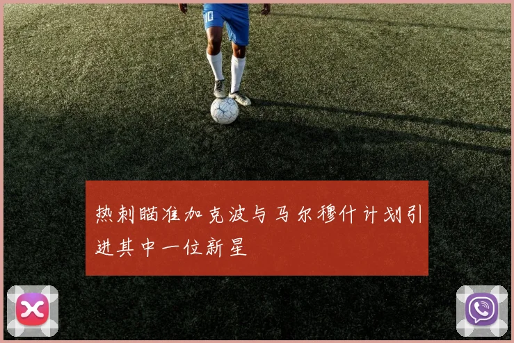 热刺瞄准加克波与马尔穆什计划引进其中一位新星