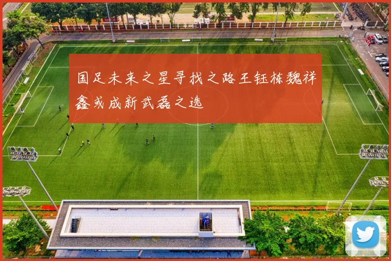 国足未来之星寻找之路王钰栋魏祥鑫或成新武磊之选