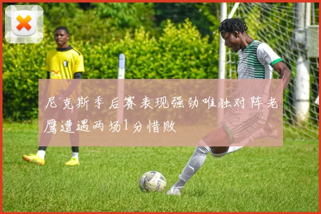 尼克斯季后赛表现强劲唯独对阵老鹰遭遇两场1分惜败